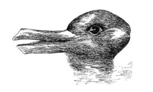 A duck or a rabbit?