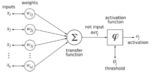 Mathematical representation of a neuron